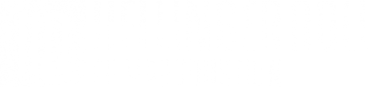 Hellinger & Doll Logo